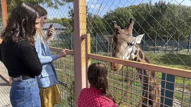 Mykolaiv zoo: Life carries on in war-torn Ukraine