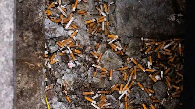 Biden may move forward with menthol cigarette ban