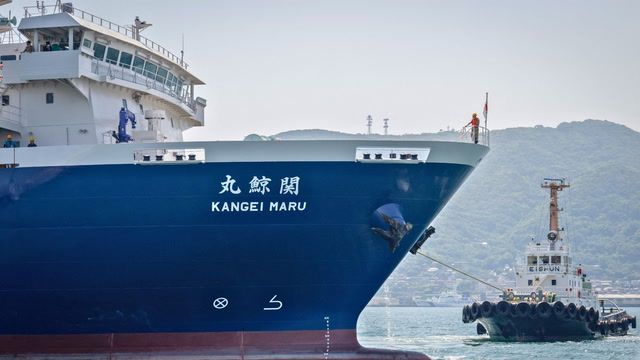Japan launches first whaling ship in 70 years