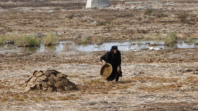 Residents of Iraq's historic marshlands fear drought