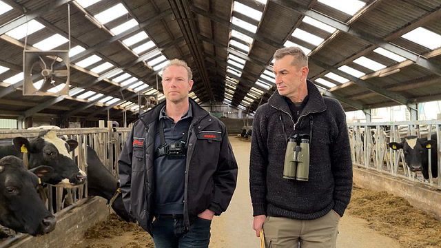 Dutch farmers fight emissions regulations