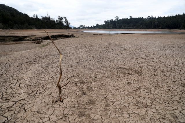 Severe drought in Colombia threatens crops, livestock