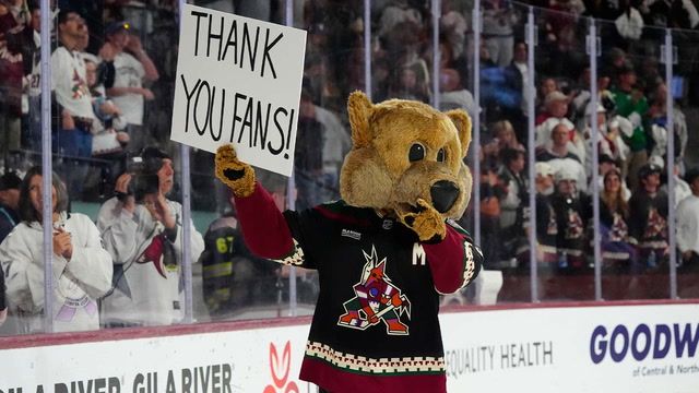 NHL approves Arizona Coyotes sale, move to Salt Lake City