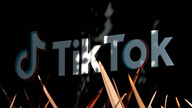TikTok sues U.S. government over law forcing sale or ban