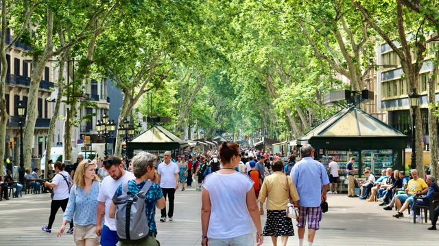 Barcelona declares drought emergency