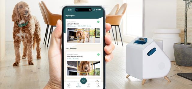 A.I that helps take care of your dog