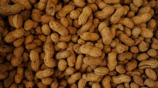 F.D.A. approves new drug for food allergies