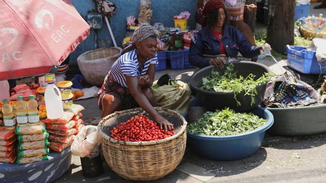 UN warns of food crisis in Haiti as gangs reign