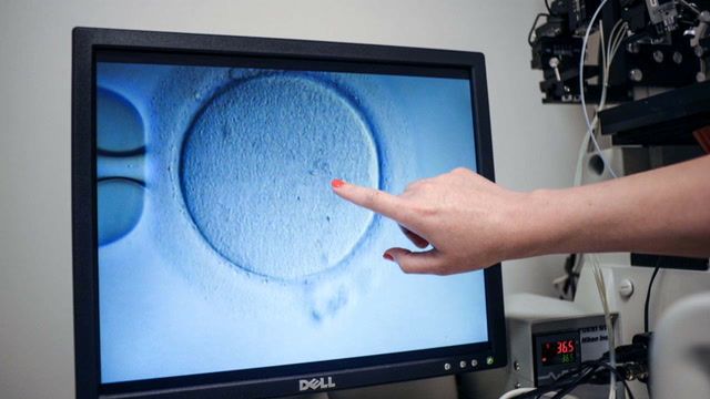 Alabama looks for IVF solution as patients remain in limbo