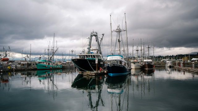Fisheries protest turn violent in Newfoundland