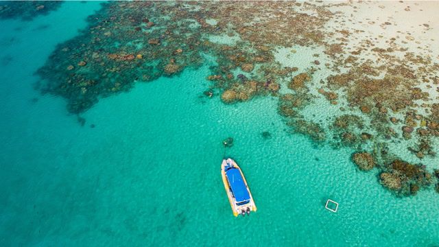 Push to get tourists back to the Great Barrier Reef
