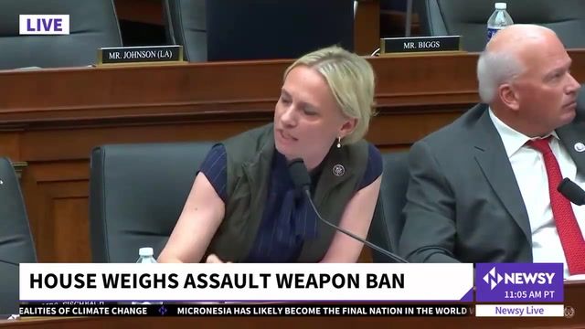 Democrats push bill banning assault weapons