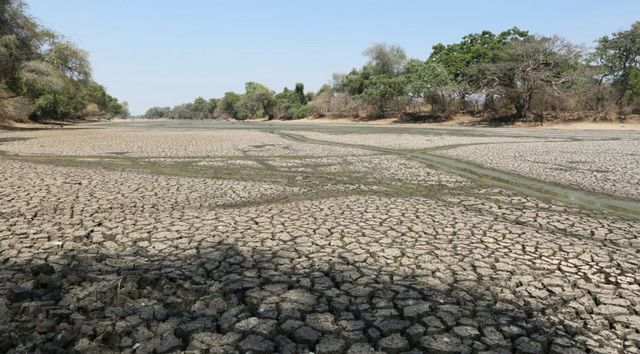 Zambia declares national disaster over drought