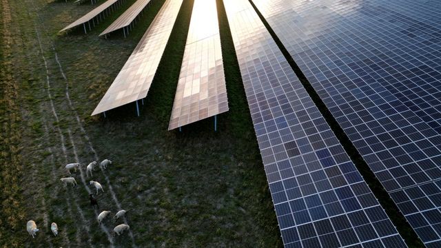 E.U.'s solar industry in crisis despite new 2040 climate goals