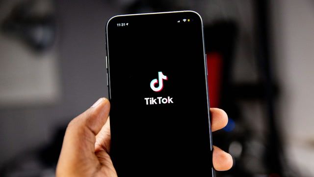 TikTok lobbies the government to avoid ban