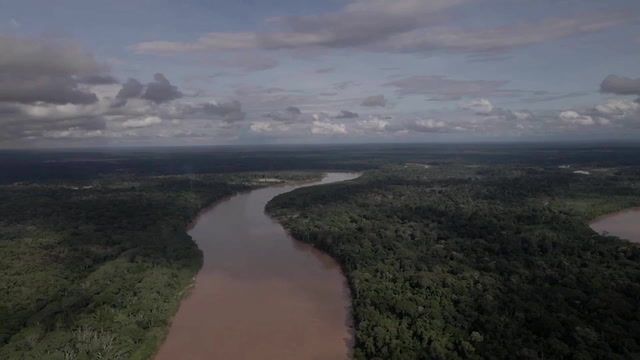 How gold mining contaminates Amazon wildlife