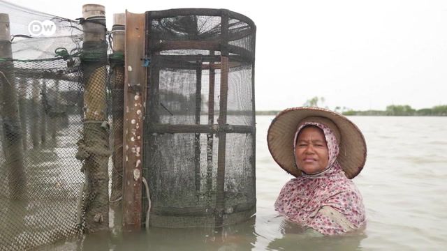 Indonesian village adapts to life on sinking land
