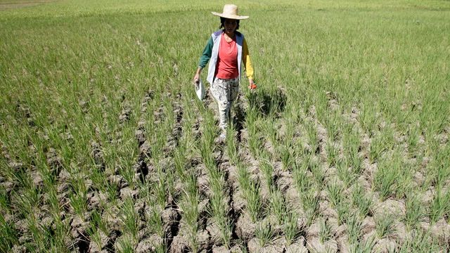 Drought warning in Philippines as El Nino to affect by April