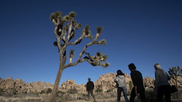 Most U.S. national parks impacted by air pollution