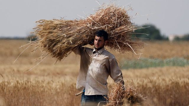 Northern Gaza mill shuts down amid wheat scarcity