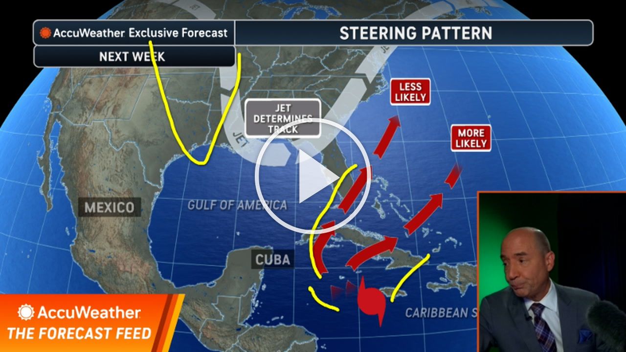 melissa jelly wedge shoes